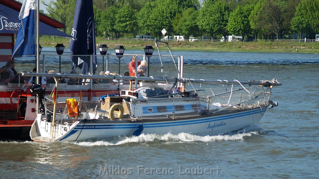 Motor Segelboot mit Motorschaden trieb gegen Alte Liebe bei Koeln Rodenkirchen P064.JPG